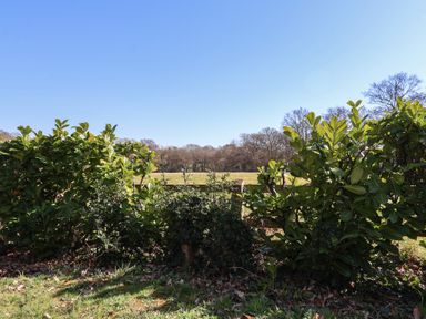 A garden with green shrubs in front of a wooden fence and open fields at The Woodshed in Tendring near Weeley