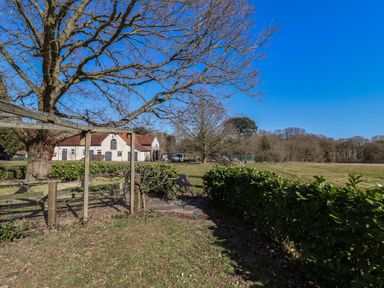 A garden area with chairs near a large tree and a white house in the background at The Woodshed in Tendring near Weeley