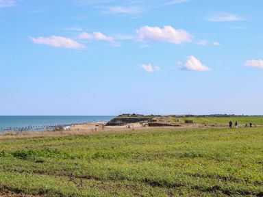 A coastal landscape with grassy fields meeting a sandy beach and ocean under a blue sky at Breathing Space in Happisburgh near Walcott