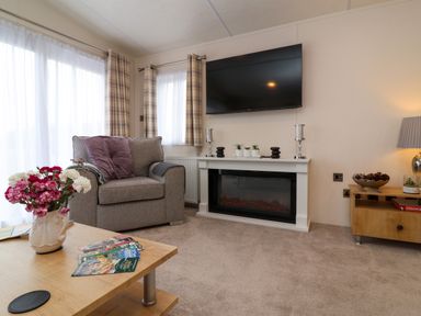 A living room with a gray armchair a coffee table with flowers an electric fireplace and a wall-mounted TV at Lodge 36 - Kingfisher Lodge in Wickhamford near Evesham