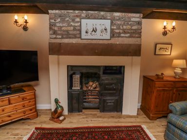 A room with a brick fireplace a wooden chest of drawers a television a wooden duck sculpture a wooden cabinet with a lamp and a framed picture at Timberwick Green Akeld near Wooler