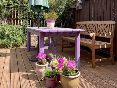 A garden with a purple table, wooden bench, and flower pots at Harefield in Rothbury