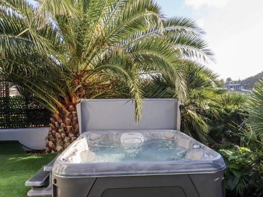 A hot tub surrounded by palm trees at Delmonte Lodge in Torquay