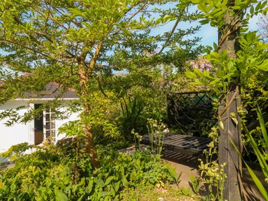 A garden with a tree a wooden bench and a white house with open doors at Little Acorns in Gweek