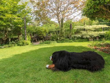 A garden with a large dog lying on the grass and wooden chairs and table near trees at Little Acorns in Gweek