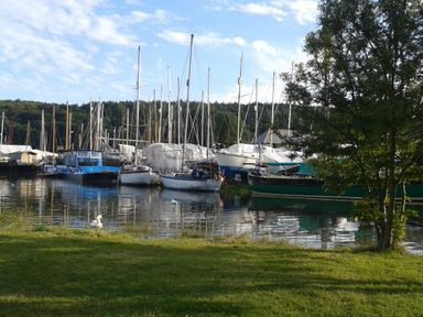 A marina with boats and yachts docked on water near a grassy shore with a tree