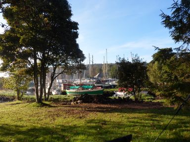 A grassy area with trees and boats docked in the background at Little Acorns in Gweek