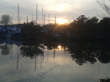 A marina with sailboats trees and their reflections in water at sunset at Little Acorns in Gweek