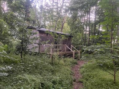 A hut surrounded by trees at Woodlands Retreat Shepherd's Hut in Brundish near Laxfield