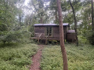 A cabin in the woods near a path at Woodlands Retreat Shepherd's Hut Brundish near Laxfield