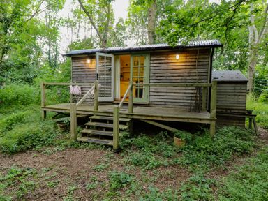 A wooden hut with steps and railing in a green forest at Woodlands Retreat Shepherd's Hut Brundish near Laxfield