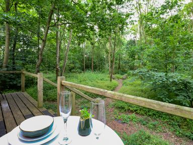 A table set with plates and glasses overlooking a forest path at Woodlands Retreat Shepherd's Hut Brundish near Laxfield