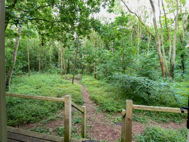 A path leading through trees with seating in the woods at Woodlands Retreat Shepherd's Hut Brundish near Laxfield