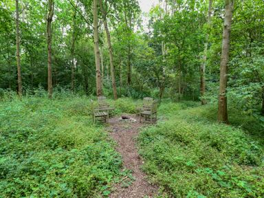 A seating area with chairs and fire pit in a forest at Woodlands Retreat Shepherd's Hut Brundish near Laxfield