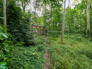 A path leading to a cabin surrounded by trees at Woodlands Retreat Shepherd's Hut Brundish near Laxfield
