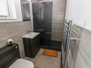 A bathroom with a toilet a sink a shower area with glass partition and a wooden mat at Arfryn in Solva