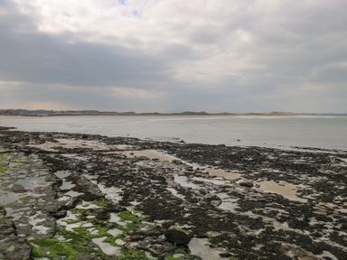 A rocky shoreline with patches of green algae and a cloudy sky at C65 Cahermore Holiday Village in Enniscrone County Sligo