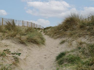 A sandy path through dunes with grass and a wooden fence under a cloudy sky at C65 Cahermore Holiday Village in Enniscrone County Sligo