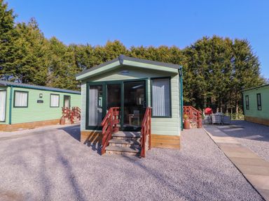A small green cabin with steps and wooden railings in front of trees and gravel at Lodge 2 in Silverdale