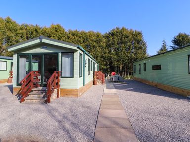 An outdoor area with two light green mobile homes facing each other a paved walkway between them and trees in the background at Lodge 2 in Silverdale