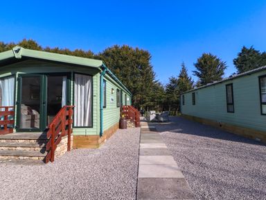 Two green mobile homes with a paved walkway and gravel area between them at Lodge 3 in Silverdale