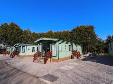 Green static caravans with steps and a paved walkway surrounded by trees at Lodge 3 in Silverdale