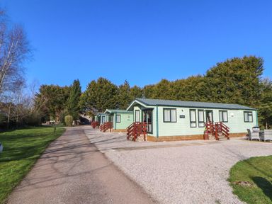 A row of small green lodges with red wooden steps along a gravel driveway surrounded by trees at Lodge 3 in Silverdale