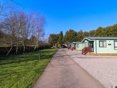 A path with green cabins on the right and grass with leafless trees on the left at Lodge 3 in Silverdale