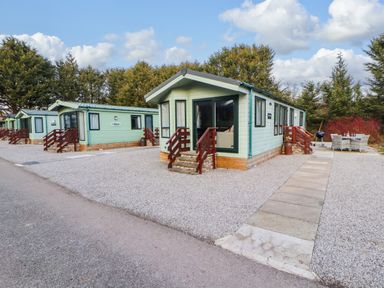 A group of green mobile homes with small stairs and outdoor seating areas at Lodge 4 in Silverdale
