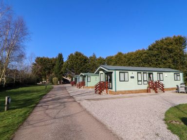 A row of green holiday lodges along a gravel path with trees and grass at Lodge 4 in Silverdale