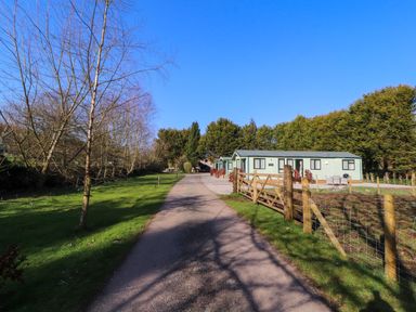 A driveway with trees on the left and a fence on the right leading to several green lodges at Lodge 4 in Silverdale