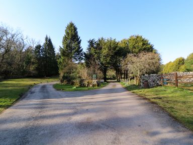 A rural dirt road splitting into two paths lined with trees and stone walls at Lodge 4 in Silverdale