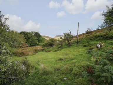 A green grassy hillside with scattered trees and bushes under a blue sky with clouds at Tyn Y Graig in Fairbourne