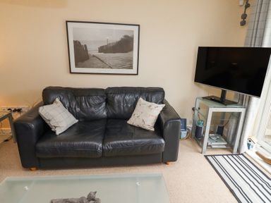 A living room with a black leather sofa two cushions a wall picture a flat screen tv on a glass stand and a striped rug at Sea Shore in Seahouses