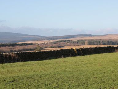 A grassy field with a stone wall and hills in the background at Petty Knowes Cottage Rochester near Otterburn