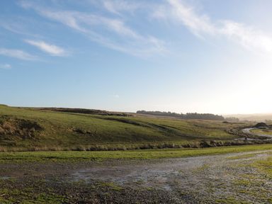 A grassy landscape with a dirt path under a blue sky at Petty Knowes Cottage in Rochester near Otterburn