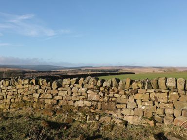 A stone wall with grassy fields and hills under a blue sky at Petty Knowes Cottage in Rochester near Otterburn