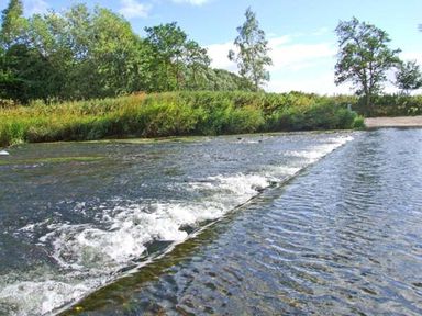 A flowing river with a small weir surrounded by trees and bushes at Bank View in Chirnside