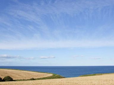 A view of open fields with the ocean and sky in the background at Bank View in Chirnside
