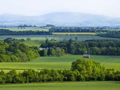 A countryside landscape with fields trees and hills at Bank View in Chirnside