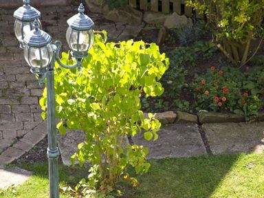 A garden with a three-lamp post a bush a flower bed with red flowers and stone pavement at Bank View in Chirnside