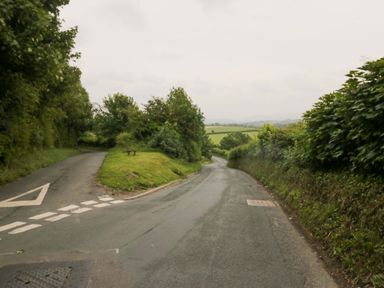 A rural road with trees and grass at Yeat Stoup Cottage in Cockermouth