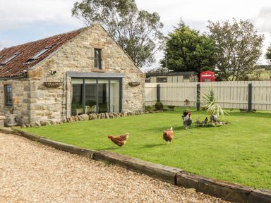 A stone house with a tiled roof next to a lawn with chickens and a white fence at Cowshed Normanby near Flyingthorpe