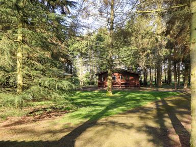 A wooden cabin surrounded by trees and grass in a forested area at Goldcrest in Withern near Alford