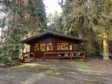 A wooden cabin with a porch and outdoor chairs surrounded by tall trees at Partridge in Withern near Alford