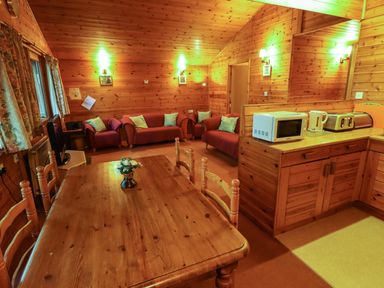 A wooden dining table with chairs and a small vase with flowers in a room with wooden walls and ceiling with sofas and kitchen appliances at Partridge Withern near Alford