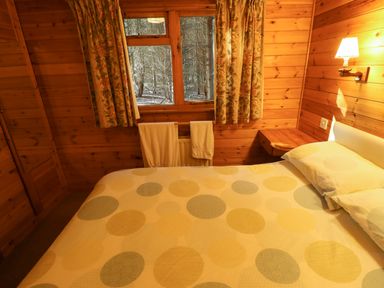 A bedroom with wood-paneled walls a bed with patterned bedding floral curtains and a window showing a forest at Partridge in Withern near Alford