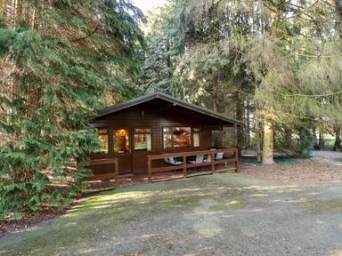 A wooden cabin with a porch and outdoor chairs surrounded by trees at Partridge in Withern near Alford