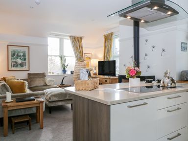 An open plan kitchen and living room with a kitchen island a stovetop a kettle and a flower vase in the kitchen and a sofa a TV and windows with curtains in the living area at The Bolt Hole in Kendal