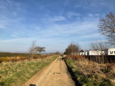 A dirt path with grass and bushes on both sides and a dog walking along the path at Little Acre in Oxenhope
